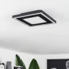 Audrieu Ceiling Light LED black, 2-light sources