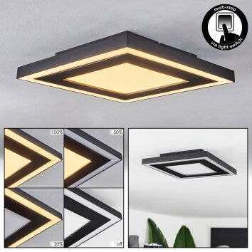 Audrieu Ceiling Light LED black, 2-light sources