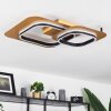 Huallilemu Ceiling Light LED gold, black, 1-light source