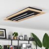 Tojeirinha Ceiling Light LED brown, black, 3-light sources, Remote control