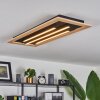 Tojeirinha Ceiling Light LED brown, black, 3-light sources, Remote control