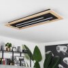 Tojeirinha Ceiling Light LED brown, black, 3-light sources, Remote control