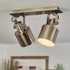 Neves Ceiling Light brass, 2-light sources