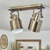 Neves Ceiling Light brass, 2-light sources