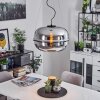 Feiro Pendant Light black, 1-light source