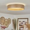 Quintinha Ceiling Light LED white, 1-light source