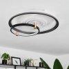Agordela Ceiling Light LED gold, white, 1-light source
