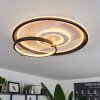 Agordela Ceiling Light LED gold, white, 1-light source