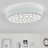 Agodim Ceiling Light LED white, 1-light source