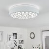 Agodim Ceiling Light LED white, 1-light source