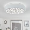Agodim Ceiling Light LED white, 1-light source