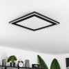 Audrieu Ceiling Light LED black, 2-light sources