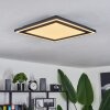 Audrieu Ceiling Light LED black, 2-light sources
