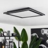Audrieu Ceiling Light LED black, 2-light sources