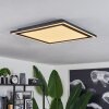Audrieu Ceiling Light LED black, 2-light sources