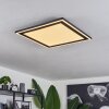 Audrieu Ceiling Light LED black, 2-light sources