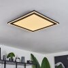 Audrieu Ceiling Light LED black, 2-light sources