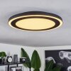 Audrieu Ceiling Light LED black, 2-light sources
