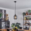 Curveira Pendant Light bronze, black, 1-light source