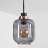 Curveira Pendant Light bronze, black, 1-light source