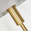 Tamel Table lamp gold, 1-light source