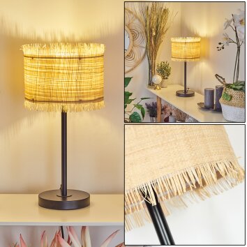 Chenevrey Table lamp black, 1-light source