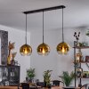 Koyoto  Pendant Light glass 25 cm gold, clear, 3-light sources