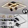 Boim Ceiling Light LED black, 3-light sources