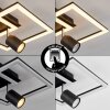 Boim Ceiling Light LED black, 3-light sources