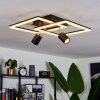 Boim Ceiling Light LED black, 3-light sources