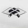 Boim Ceiling Light LED black, 3-light sources