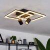 Boim Ceiling Light LED black, 3-light sources