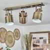 Neves Ceiling Light brass, 3-light sources