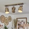 Neves Ceiling Light brass, 3-light sources