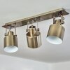 Neves Ceiling Light brass, 3-light sources