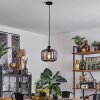 Curveira Pendant Light bronze, black, 1-light source