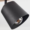 Caetanos Ceiling Light Light wood, 3-light sources