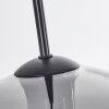 Koyoto  Pendant Light glass 30 cm clear, Smoke-coloured, 4-light sources
