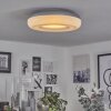Monfebres Ceiling Light LED silver, white, 1-light source, Remote control, Colour changer