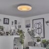 Monfebres Ceiling Light LED silver, white, 1-light source, Remote control, Colour changer