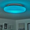 Ral Ceiling Light LED silver, white, 1-light source, Remote control, Colour changer