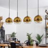 Koyoto  Pendant Light glass 25 cm gold, clear, 4-light sources