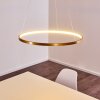 Canisteo Pendant Light LED gold, 1-light source