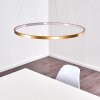 Canisteo Pendant Light LED gold, 1-light source