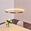 Canisteo Pendant Light LED gold, 1-light source
