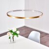 Canisteo Pendant Light LED gold, 1-light source