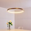 Canisteo Pendant Light LED gold, 1-light source