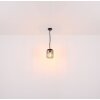 Globo NINA Hanging lamp black, 1-light source