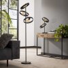 Hover Floor Lamp anthracite, 3-light sources