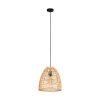 Eglo AYESGARTH Pendant Light black, 1-light source
